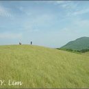 능선목장 이미지