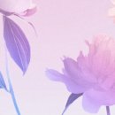 우리스토어 이미지