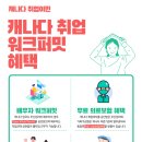 이주컨설팅주 이미지