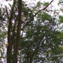 단향 - 용인시 기흥구 예현로35번길 8 | 단향