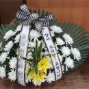 의료법인혜원의료재단혜원성모병원 이미지