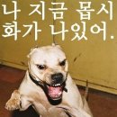 아랫집