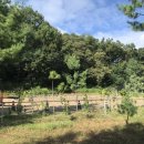 오봉로 10번길 이미지