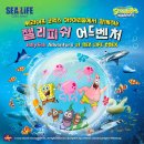 북문어린이집 | 코엑스 아쿠아리움 아기랑 다녀온 솔직 후기(주차 팁, 입장권 할인 구매, 동선 및 소요시간 등)