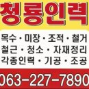 청룡인력직업소개소 이미지