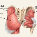 몬스터헬스 이미지