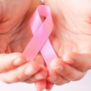 유방암 환자 4년새 30% 증가. 50대가 압도적 다수 이미지