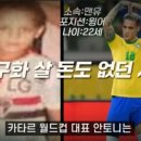 페레이라가 말하는 브라질 사람들에게 축구라는 스포츠의 의미 ㄷㄷㄷ 이미지