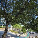 용산아트홀 소극장 가람 | 용산아트홀 가는길, 대극장•소극장 위치, 우리은행 위치, 주차장 들어가는길•정산,주차권