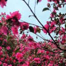 남원읍-16 네이버블로그