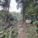 호근동 용천사입구4가 2 | 제주 서귀포 학수바위(각시바위) 후기! 험한 바위산 각시바위오름(각수악오름) 탐방 정보! [이춘근 제주...