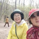 오어사부동산