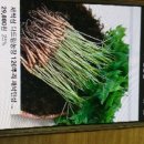 다드림스토어