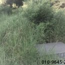 완산-140 이미지