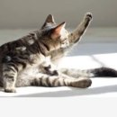 안녕, 그루밍 이미지