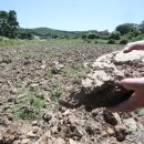 길상면-6 이미지