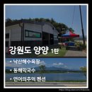 남문토방 애견동반 펜션 | 강원도 양양 여행 1탄. 낙산해수욕장과 동해막국수 후기 + 연어의추억 펜션 추천