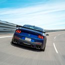 다크호스 이미지