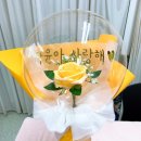 예쁜풍선만들기 이미지