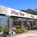 자양꽃직매장 이미지