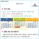 이보영의토킹클럽로켓수학학원