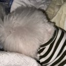 삼천당약국 이미지