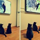 아토농장 이미지