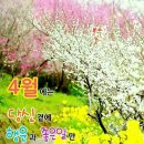 산성2 이미지