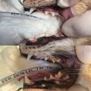 토곡동물병원 이미지