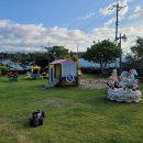 제주도아이랑 파미유리조트 키즈가족펜션 이미지