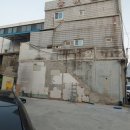 1988 모터스 이미지