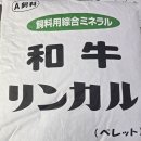 고구려기능성블럭 이미지