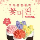 마노핀 이미지