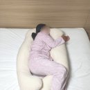 선유세탁 이미지