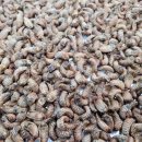 강골농장 이미지