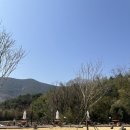 창녕 부곡 카페 &#34;카페바오&#34;