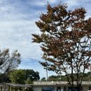장선리 마을회관 | [충남] 서천금빛노을서울캠핑장 1박2일 후기