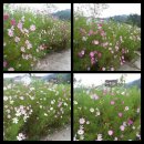 펜션재온 이미지