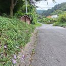 원주굽이길 13코스 구학산둘레숲길 이미지