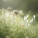 김포덴트하우스