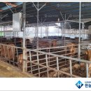 정아태양광발전소 이미지