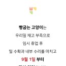 빵굽는고양이 이미지