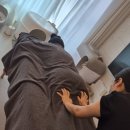 하하맘