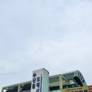 농협노은 | 내돈내산 대전 노은동 수산시장 “염창수산” 생새우 1kg 후기 | 집에서 생새우회 코스 즐기기