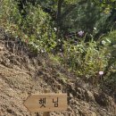 서나와 할아버지 통나무집 | [강원도/여행] 홍천 숙소 에어비앤비 "서나와 할아버지 통나무집" 햇님방 / 방앗간 막국수 - 2