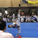 태양태권도체육관 이미지