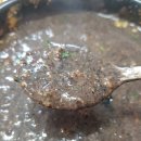 사랑방다슬기 이미지