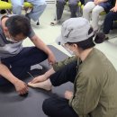 음성군 생활문화센터 | 성북구 석관동 성북문화재단 돌곶이생활예술문화센터 돌센 우쿨렐레 수강생 첫수업 후기 김창수우쿨렐레