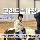 승마장 | 파주 그랜드승마장 유아승마체험 가격 및 후기