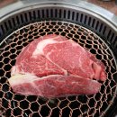 혹시 티스토리